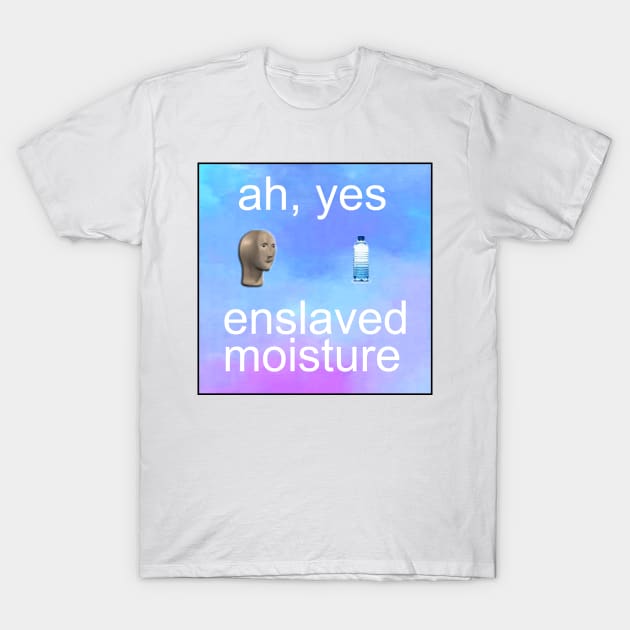 ah yes enslaved moisture meme T-Shirt by Barnyardy